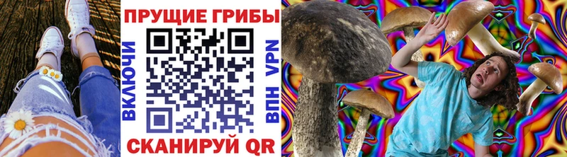 купить сайты Мамоново гидра зеркало Псилоцибиновые грибы прущие грибы